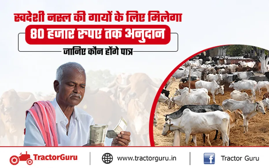 Animal Husbandry : किसान स्वदेशी गायों पर पाए 80 हजार रुपए की सब्सिडी