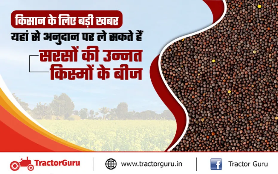 Mustard Seeds : किसानों को सरसों की टॉप वैरायटी के बीज पर सब्सिडी