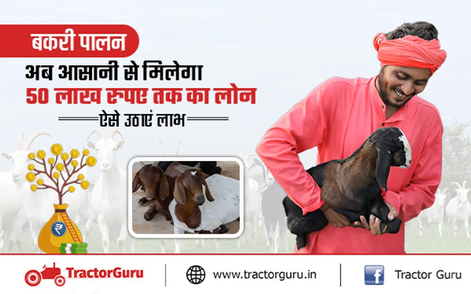 Goat Farming: किसान अब बकरी पालन पर पाए 50 लाख का लोन