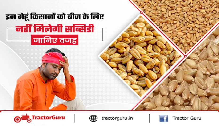 Wheat Price: इस राज्य के किसानों को नहीं मिलेगी गेहूं बीज सब्सिडी