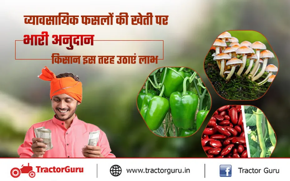 किसान व्यावसायिक फसलों की खेती से कमाएं अधिक मुनाफा, सरकार दे रही भारी अनुदान