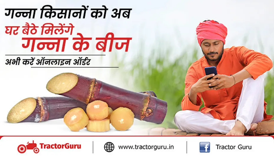 गन्ना किसान आसानी से ऑनलाइन ऑर्डर पर मंगवा सकेंगे गन्ना के बीज, यहां करे बुकिंग