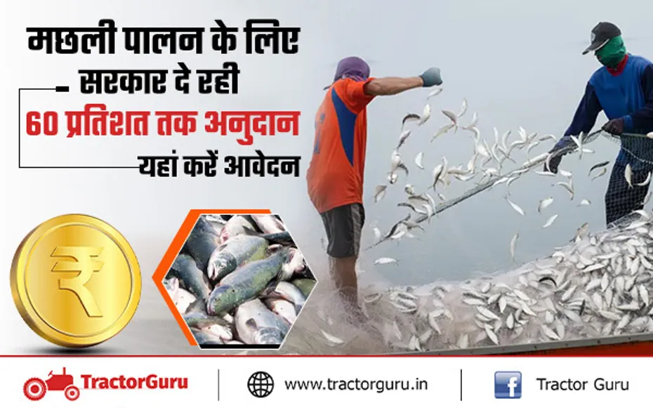 मत्स्य संपदा योजना : मछली पालन के लिए किसानों को दिया जाएगा 60 प्रतिशत तक का अनुदान