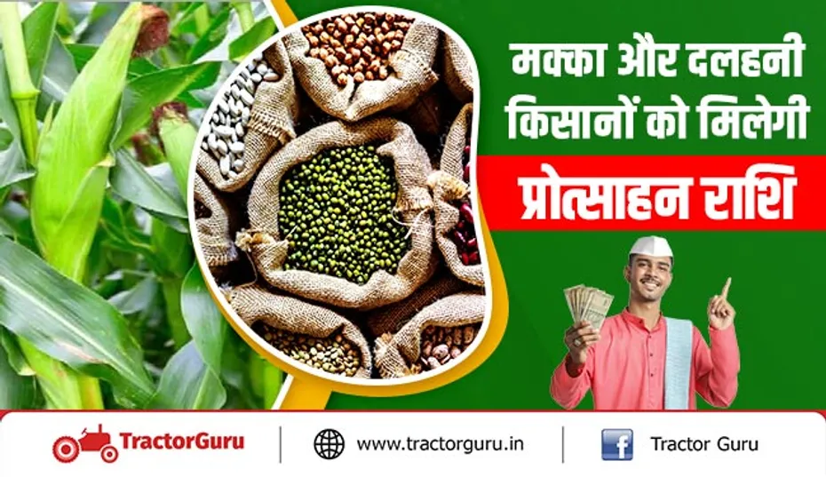 खुशखबरी : किसानों को मक्का के लिए 2400 और दलहनी फसलों के लिए 3600 रुपए प्रोत्साहन राशि मिलेगी