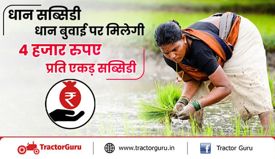 किसानो को धान की बुवाई पर सरकार से मिलेगी 4 हजार रुपए सब्सिडी लाभ