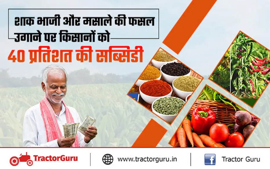 शाकभाजी फसल उगाने पर किसानों को मिलेगी 40 प्रतिशत की सब्सिडी, यहाँ करें आवेदन