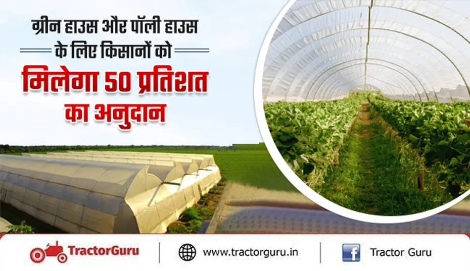 ग्रीन हाउस और पॉली हाउस के लिए किसानों को मिलेगा 50 प्रतिशत का अनुदान, यहाँ करें आवेदन