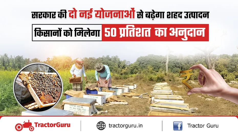 किसानों को मधुमक्खी पालन के लिए मिलेगा 50 प्रतिशत का अनुदान
