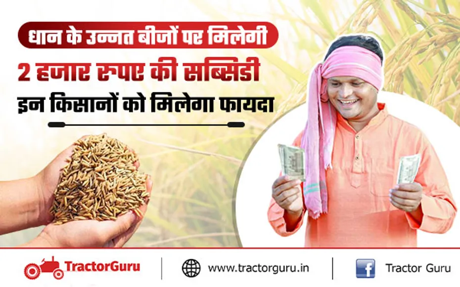 Paddy Seeds : किसानों को धान के इन उन्नत बीजों पर तुरंत मिलेगा 50 प्रतिशत अनुदान