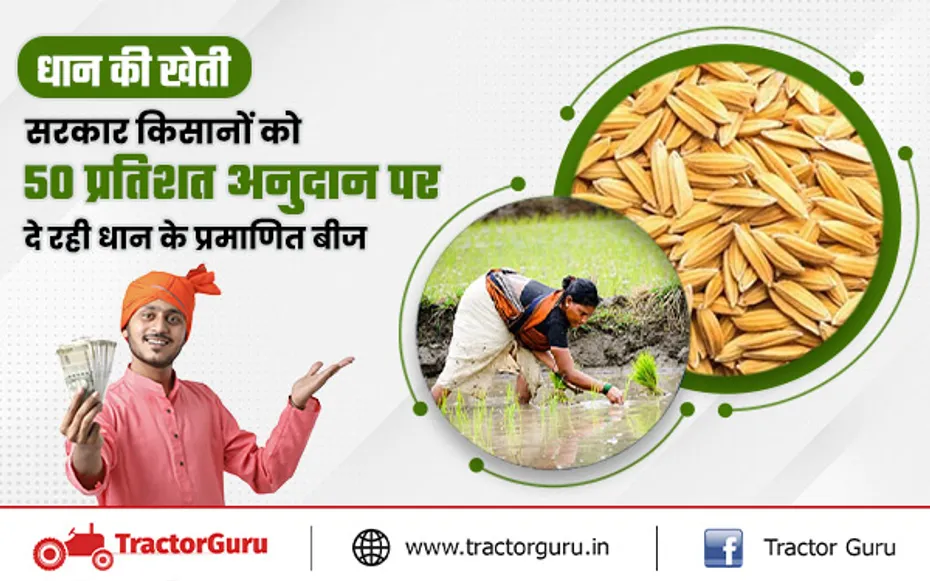 kharif crop : किसानों को 50 प्रतिशत की सब्सिडी पर मिलेंगे धान के प्रमाणित बीज