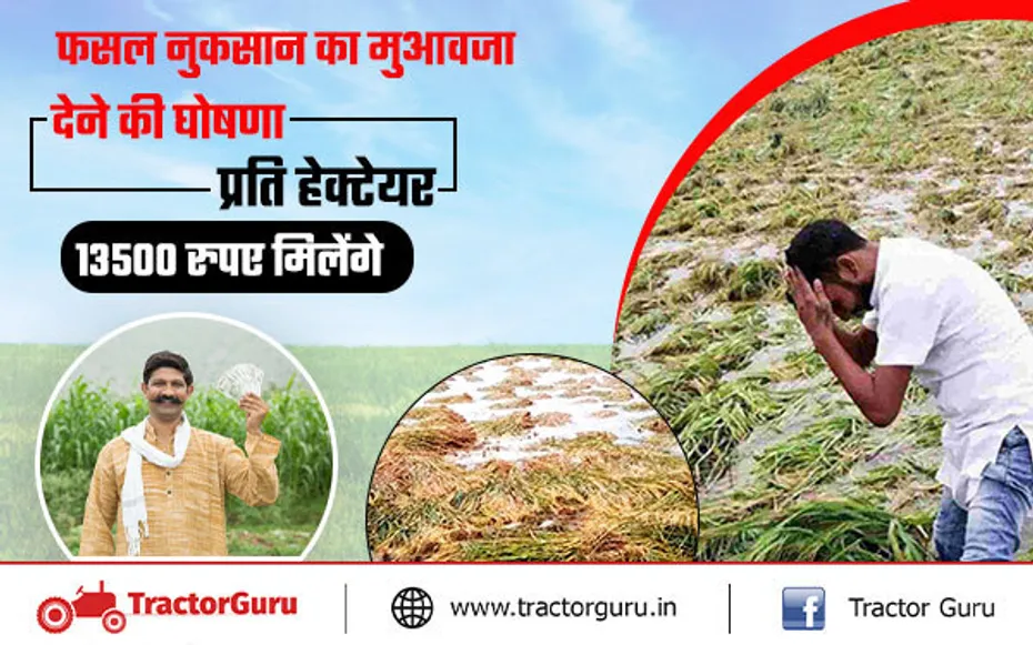 फसल नुकसान मुआवजा : किसानों को मिलेगा 13,500 रुपए प्रति हेक्टेयर फसल मुआवजा