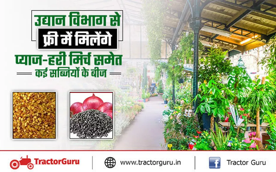 किसानों को फ्री मिलेंगे प्याज-हरी मिर्च समेत कई सब्जियों के बीज, जानें रजिस्ट्रेशन प्रक्रिया
