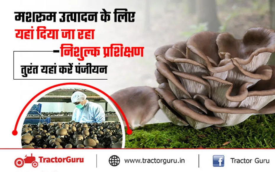 Mushroom Farming : मशरूम की खेती के लिए किसानों को यहां मिलेगा नि:शुल्क प्रशिक्षण
