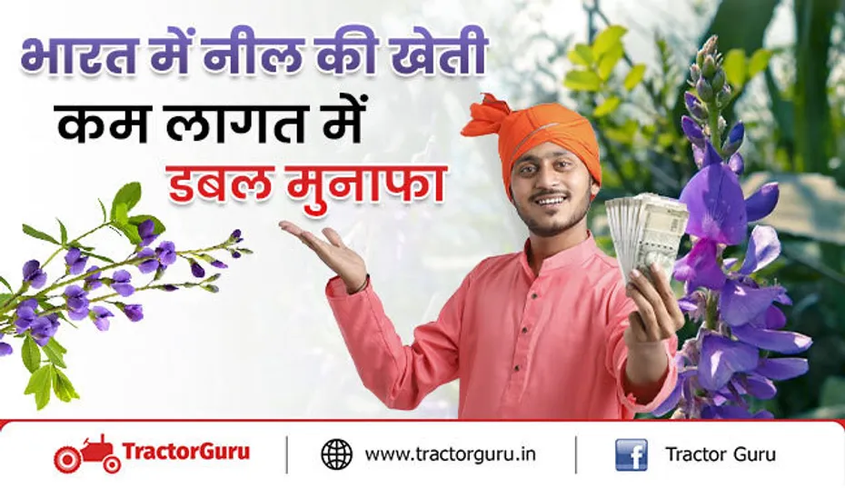 नील की खेती: किसान कैसे कमाए नील की खेती से 35 हजार तक का मुनाफा