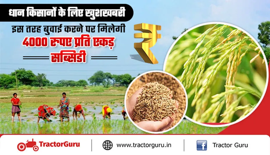 धान की सीधी बुवाई पर किसानों को मिलेगी 4000 रुपए प्रति एकड़ प्रोत्साहन राशि, जारी 120 करोड़
