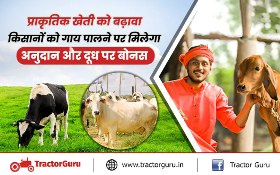 किसानों को गाय के पालन पर सरकार से मिलेगा अनुदान और दूध पर बोनस, जानें डिटेल