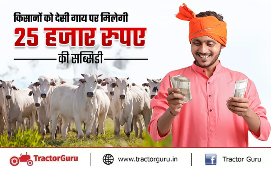 किसानों को देसी गाय खरीदने पर मिलेगी 25 हजार रुपए की सब्सिडी