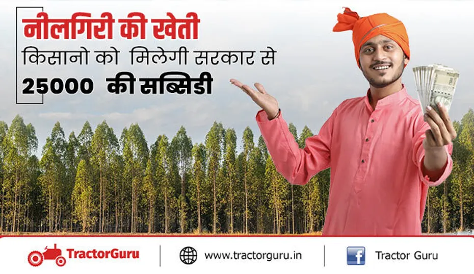 नीलगिरी की खेती : किसानों को नीलगिरी की खेती पर मिलेगी  25 हजार तक सब्सिडी