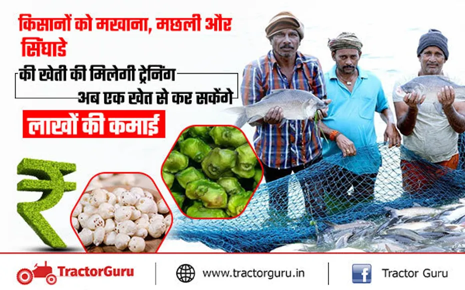 एक खेत में ही मखाना, मछली और सिंघाडे की खेती के लिए किसानों को मिलेगा प्रशिक्षण
