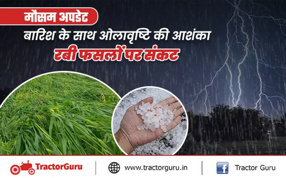 Weather Update  : बारिश के साथ ओलावृष्टि की बेमौसम गतिविधियों से फसलों पर हो सकता है खतरा