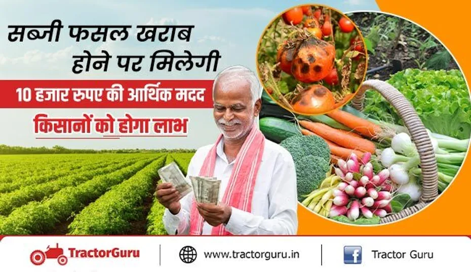 सब्जी फसल खराब होने पर मिलेगी 10 हजार रुपए की आर्थिक मदद, किसानों को होगा लाभ