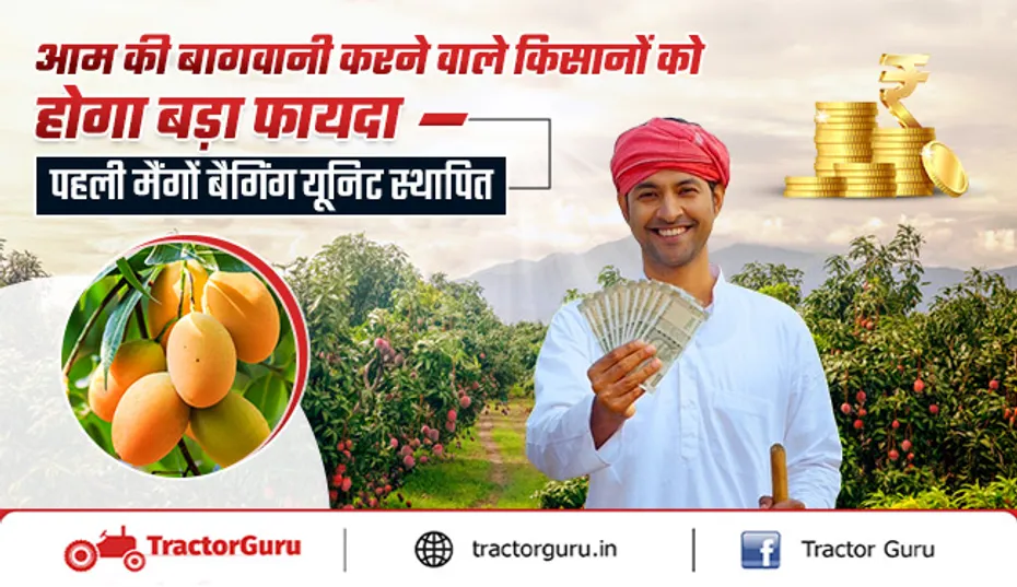 किसानों के लिए खुशखबरी: आम की बागवानी के लिए पहली मैंगो बैगिंग यूनिट स्थापित