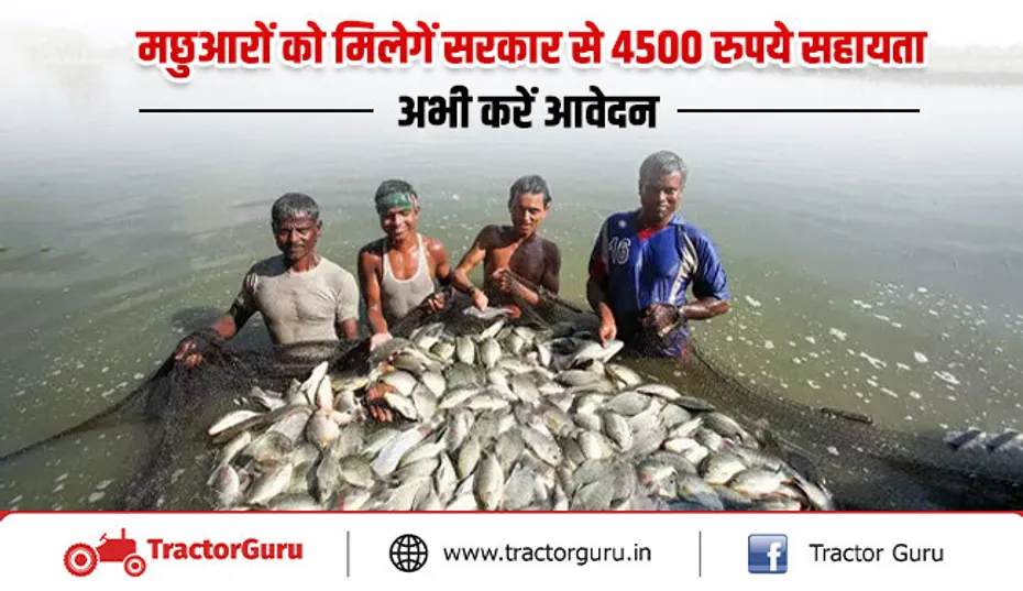 मछली पालकों को मिलेंगी 4500 रुपए की सब्सिडी, जानें सरकार की पूरी योजना