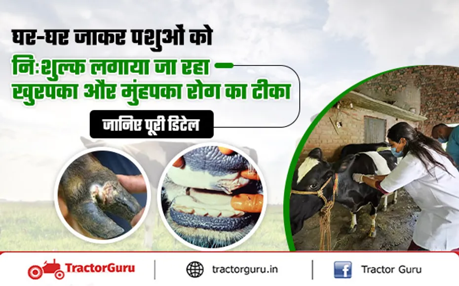 Fmd Vaccine : पशुओं को निःशुल्क लगाया जा रहा खुरपका और मुंहपका रोग का टीका