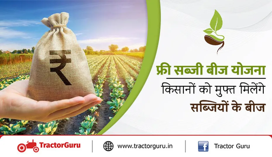 फ्री सब्जी बीज योजना : किसानों को मुफ्त मिलेंगे सब्जियों के बीज, ऐसे कराएं रजिस्ट्रेशन