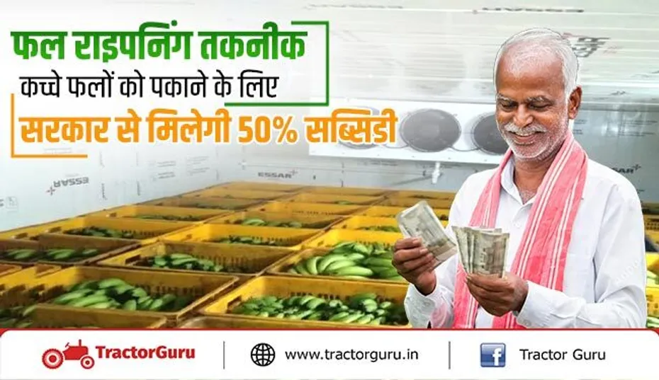 फल राइपनिंग तकनीक : कच्चे फलो को पकाने के लिए सरकार से मिलेगी 50% सब्सिडी