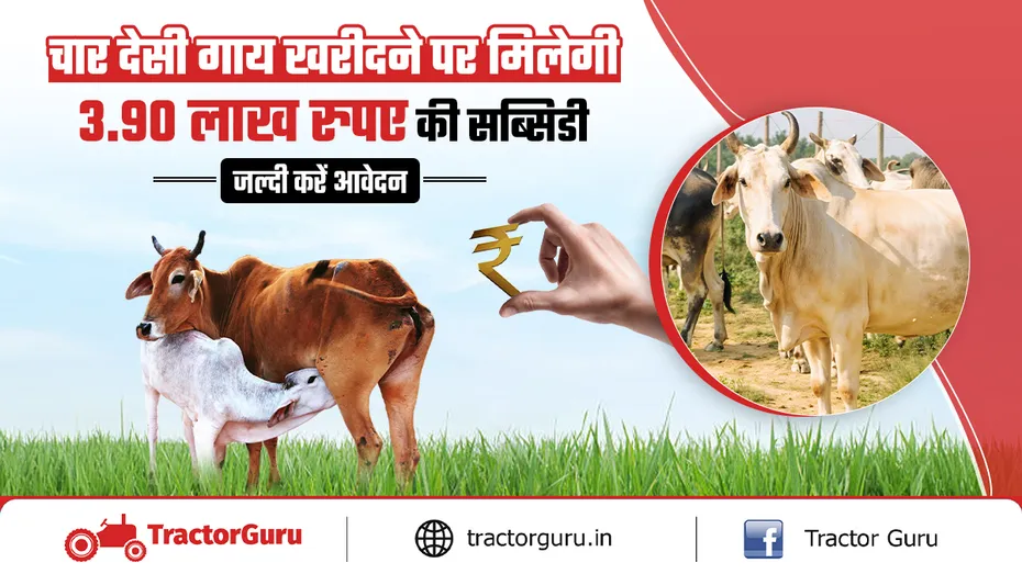 गौ-प्रोत्साहन योजना : देशी नस्लों की गायों की डेयरी के लिए 75 प्रतिशत तक अनुदान
