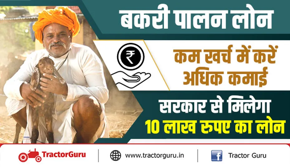 बकरी पालन लोन : कम खर्च में करें अधिक कमाई, सरकार से मिलेगा 10 लाख रुपए का लोन