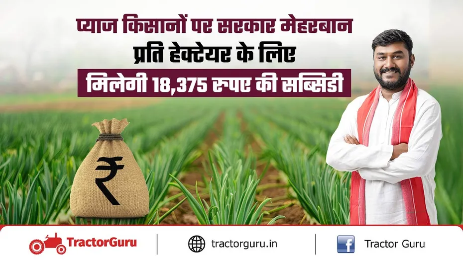 प्याज किसानों के लिए खुशखबरी: प्याज की खेती पर 75% सब्सिडी का लाभ उठाएं