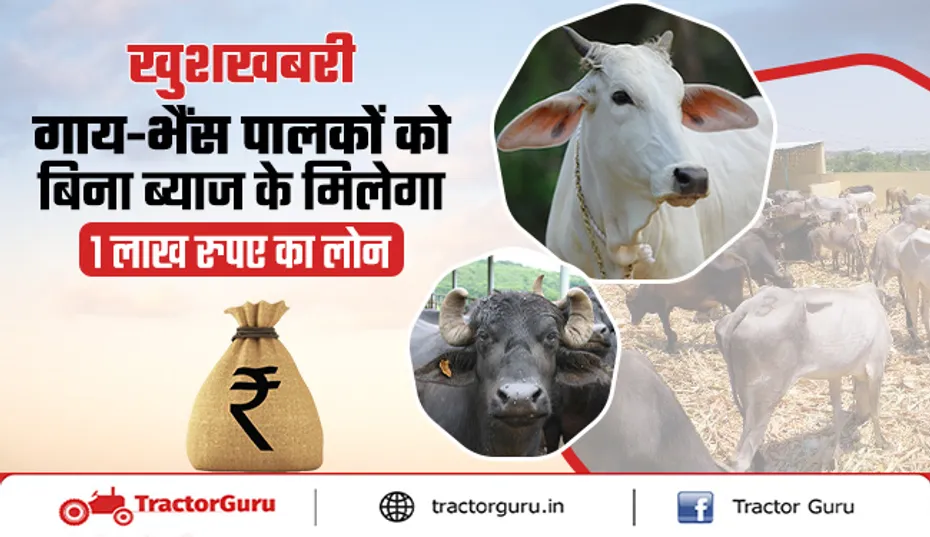 गोपाल क्रेडिट कार्ड योजना : गाय-भैंस पालकों को ब्याज फ्री लोन