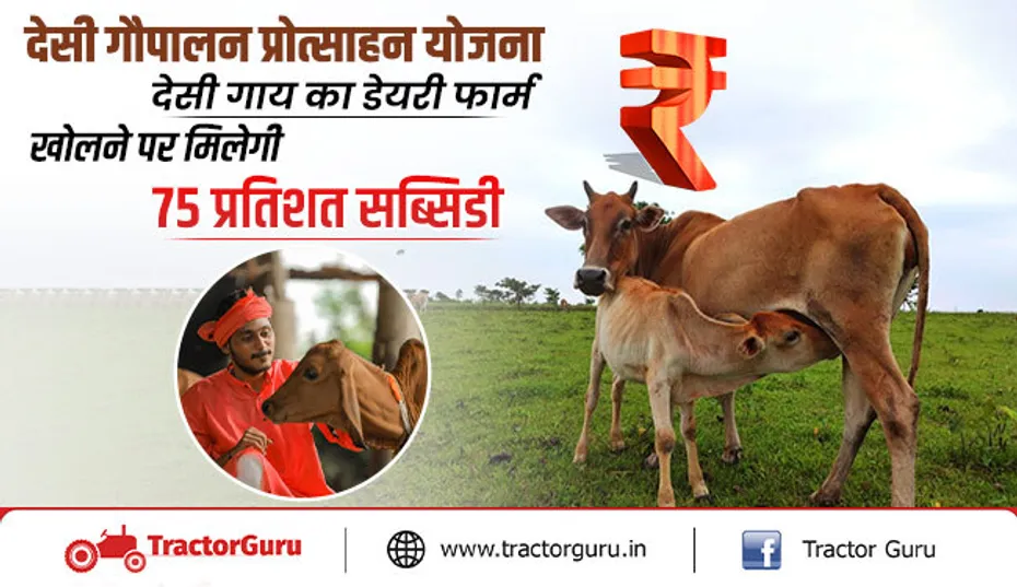 subsidy on cow : सरकार देसी गाय की डेयरी खोलने पर दे रही 75 प्रतिशत तक सब्सिडी