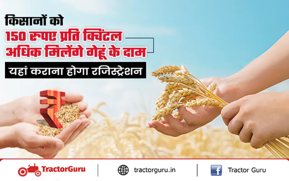 Wheat MSP : सरकार ने गेहूं का न्यूनतम समर्थन मूल्य 150 रुपये प्रति क्विंटल बढ़ाया