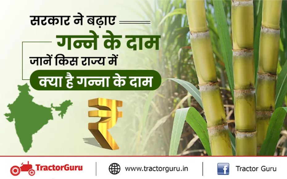 सरकार ने दिवाली पर बढ़ाए गन्ने के दाम, जानें किस राज्य में बढ़ाए है गन्ना के दाम