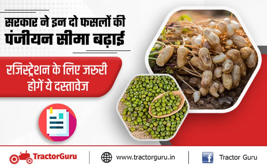 न्यूनतम समर्थन मूल्य : सरकार ने मूंग, मूंगफली बेचने के लिए पंजीयन सीमा बढ़ाई, ऐसे करें रजिस्ट्रेशन