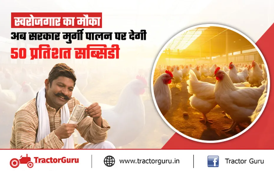 Poultry Farming : सरकार मुर्गी पालन के लिए दे रही 50 प्रतिशत की सब्सिडी