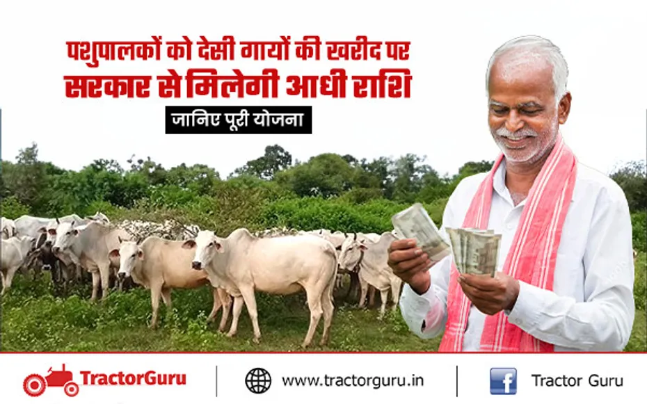 Animal Husbandry : देसी गायों की डेयरी खोलने पर सरकार दे रही 50 प्रतिशत की सब्सिडी
