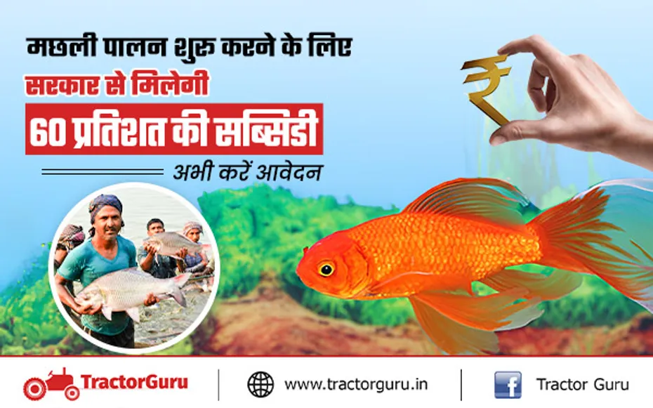 Fish Farming : मछली पालन शुरू करने पर 60 प्रतिशत की सब्सिडी दे रही सरकार