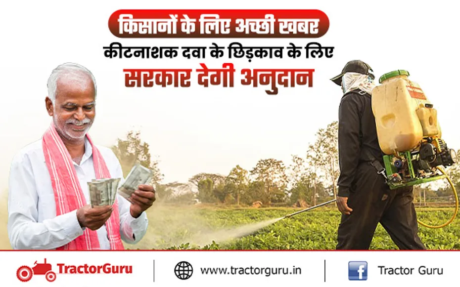 Pesticide spray : आम, अमरूद और लीची के पौधों पर दवाओं के छिड़काव के लिए मिलेगा अनुदान