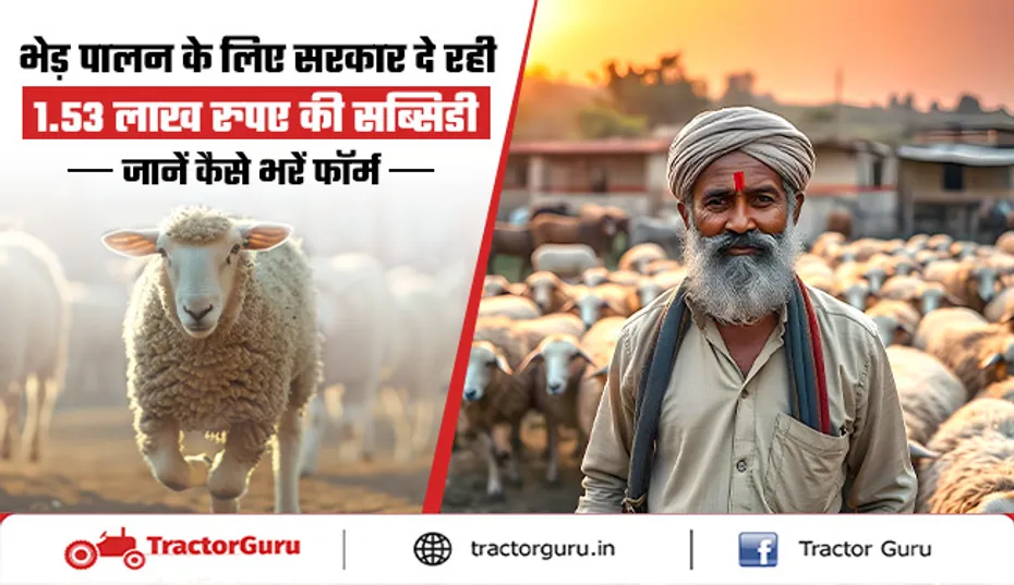 Sheep farming : किसानों को भेड़ पालन पर 1.53 लाख रुपए की सब्सिडी