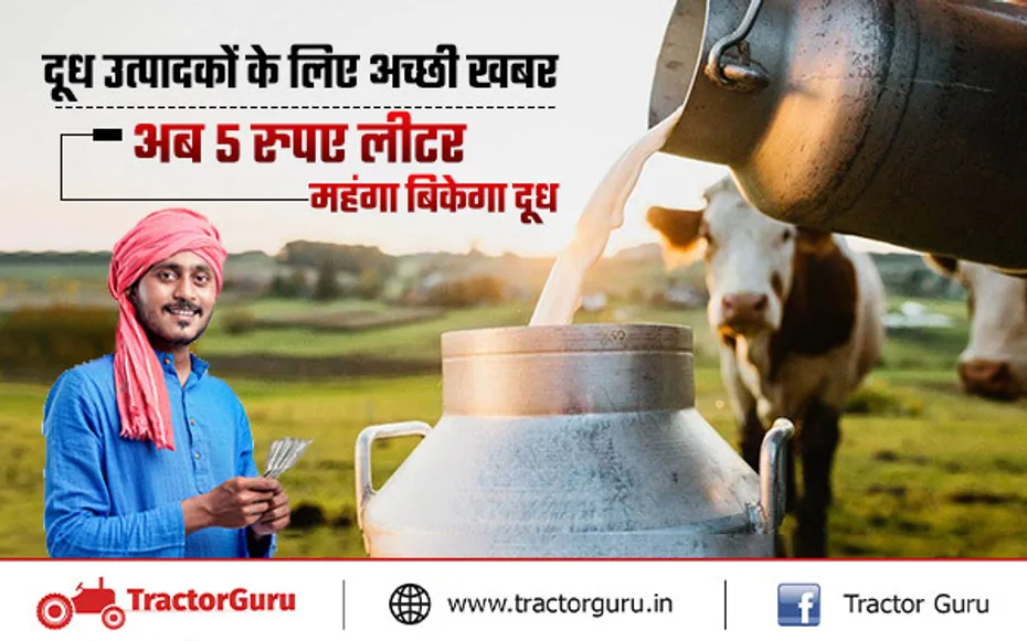 Milk Subsidy : दूध बेचने पर सरकार दे रही प्रति लीटर 5 रुपए की सब्सिडी, जानिए कैसे मिलेगा फायदा