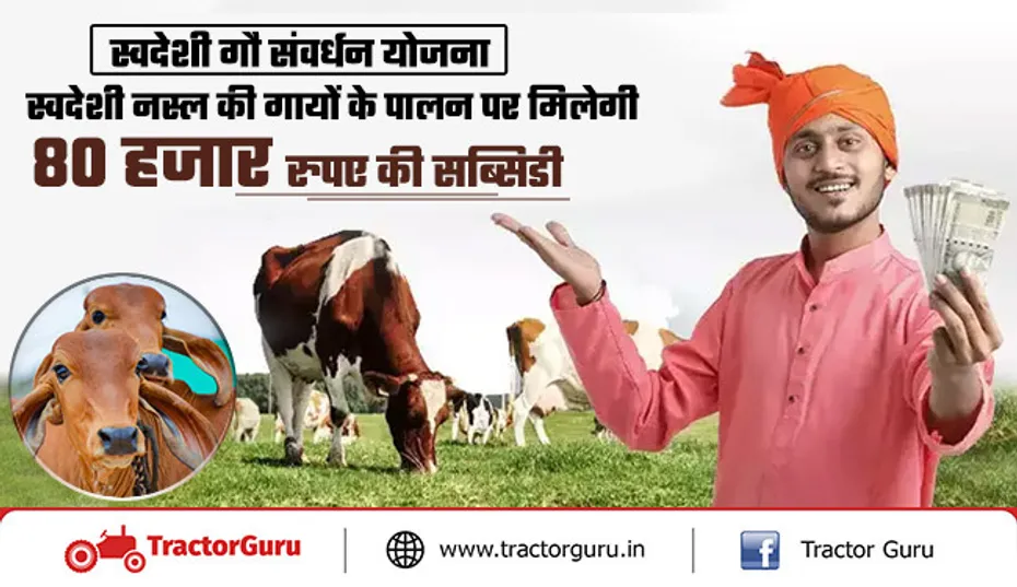 स्वदेशी गौ संवर्धन योजना : स्वदेशी नस्ल की गायों पर सरकार दे रही 80 हजार रुपए की सब्सिडी