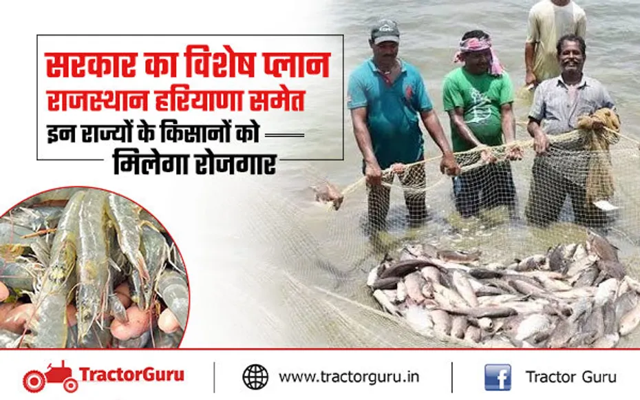 झींगा पालन को बढ़ावा दे रही सरकार, जानें किन राज्यों के किसानों की बढ़ेगी आमदनी