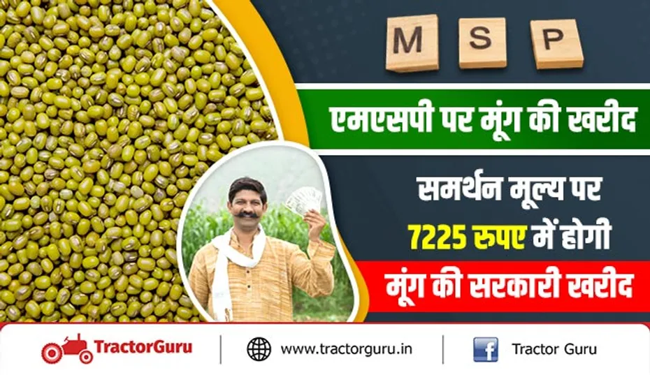 एमएसपी पर मूंग की खरीद : समर्थन मूल्य पर 7225 रुपए में होगी मूंग की सरकारी खरीद
