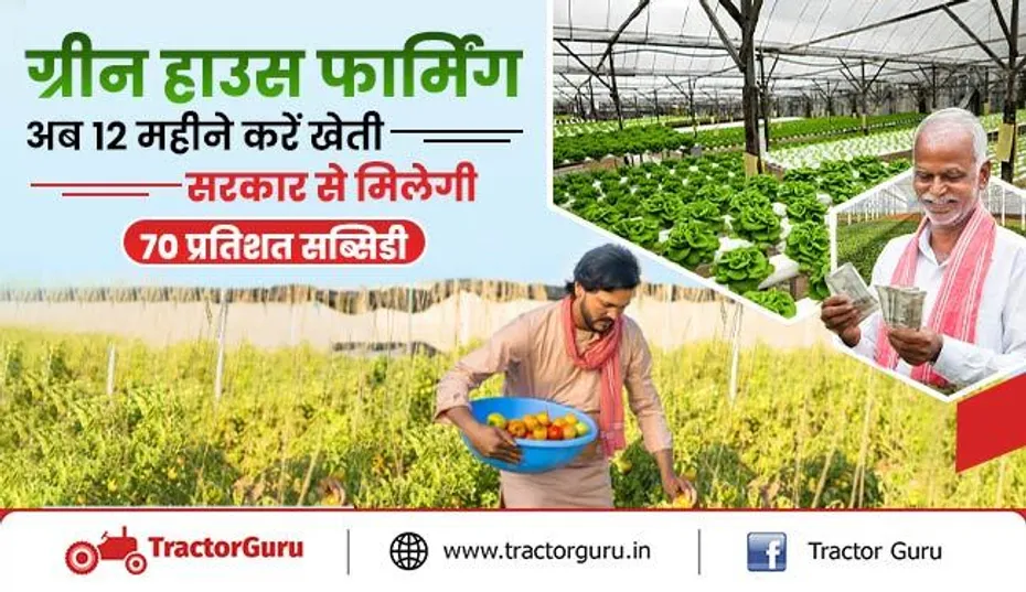 ग्रीन हाउस फार्मिंग : सरकार से मिलेगी 70 प्रतिशत सब्सिडी, 12 महीने करें खेती
