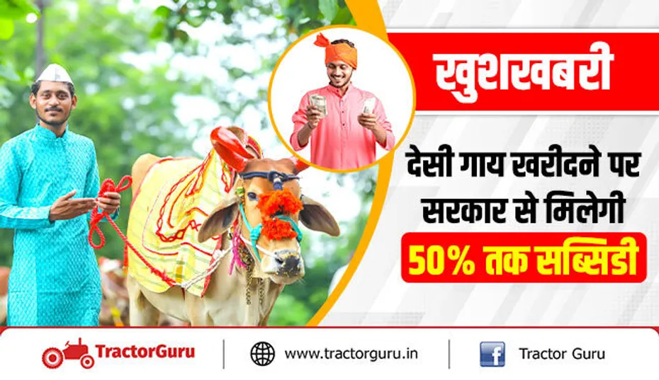 खुशखबरी : देसी गाय खरीदने पर सरकार से मिलेगी 50 प्रतिशत तक सब्सिडी