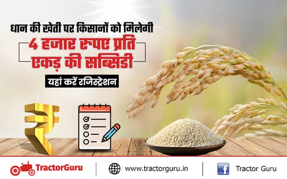 Paddy Crop : धान की खेती पर सरकार प्रति एकड़ 4 हजार रुपए दे रही है, जल्द करे आवेदन